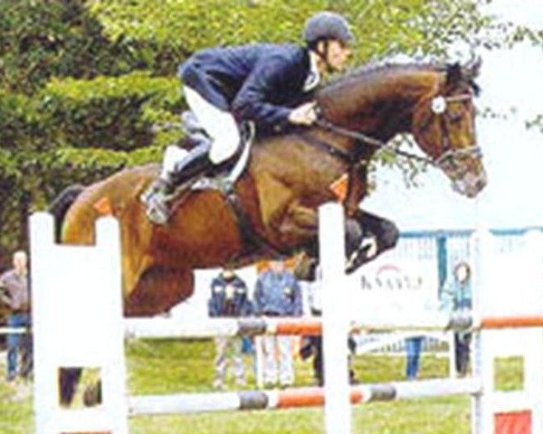 stallion Lafitte (Bavarian, 1992, from Landsberg)