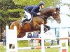 stallion Lafitte (Bavarian, 1992, from Landsberg)