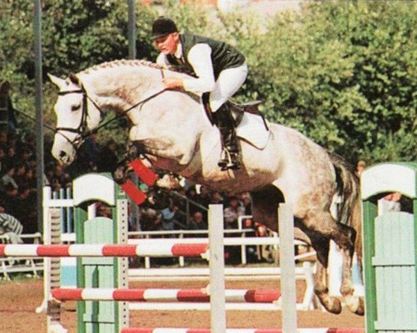 stallion Matador xx (Thoroughbred, 1986, from Gidron xx)