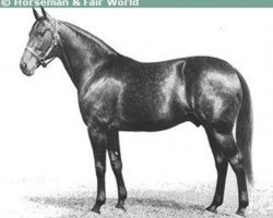 stallion Rodney 77557 (US) (American Trotter, 1944, from Spencer Scott 7244 (US))