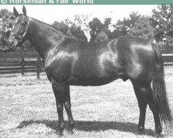 stallion Speedster US-92622 (American Trotter, 1954, from Rodney 77557 (US))