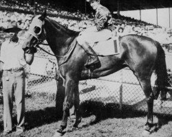 broodmare Athenia xx (Thoroughbred, 1943, from Pharamond II xx)