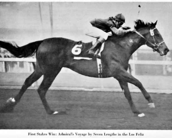 stallion Admirals Voyage xx (Thoroughbred, 1959, from Crafty Admiral xx)