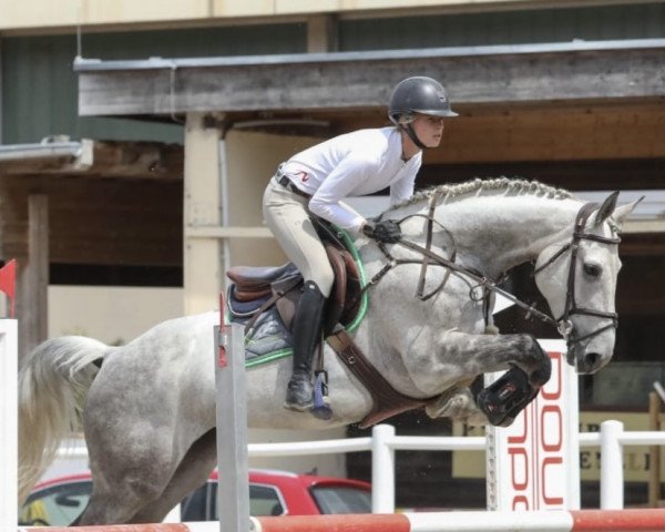 jumper Lilly SB (German Sport Horse, 2011, from Laspari)