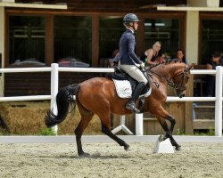 dressage horse FR Maggy (German Riding Pony, 2016, from Fs Numero Uno)