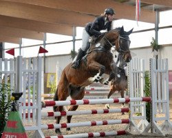 jumper Quirly Whirly (Hanoverian, 2016, from Qualito)