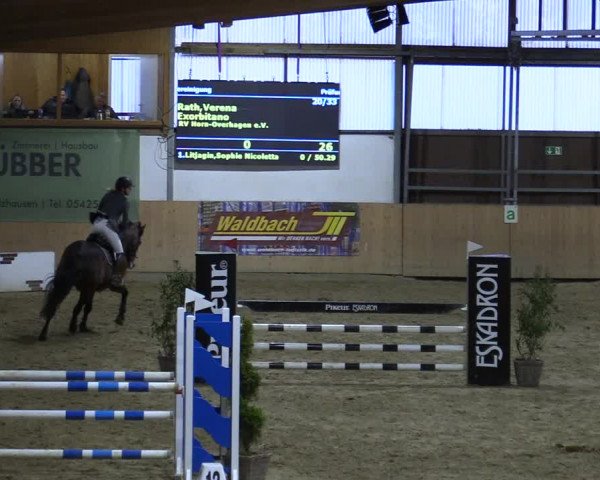 Reitturnier Borgholzhausen-Westbarthausen 2022