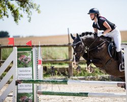 jumper N'Damon (German Riding Pony, 2002, from Neckar)