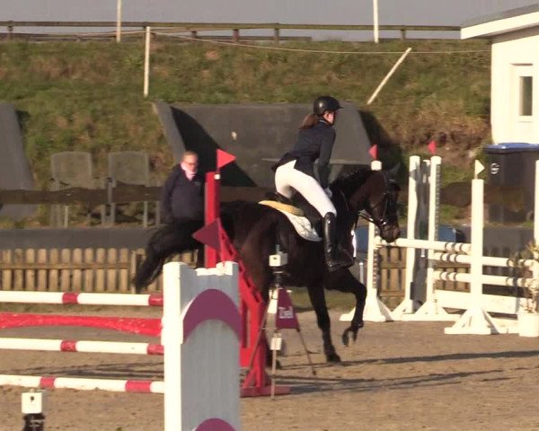 Reitturnier Schülp / Rendsburg 2022