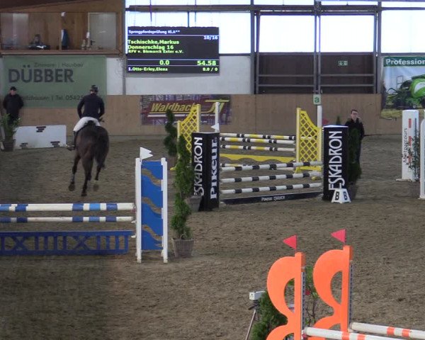 Reitturnier Borgholzhausen-Westbarthausen 2022
