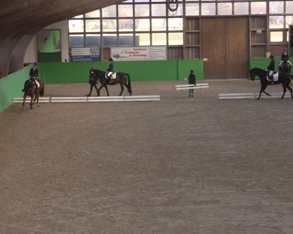 Reitturnier Krumke 2022