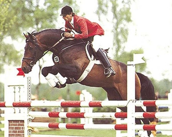 stallion Le Grand II (Holsteiner, 1985, from Lord)