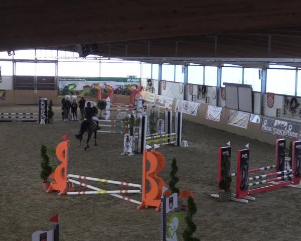 Reitturnier Borgholzhausen-Westbarthausen 2022