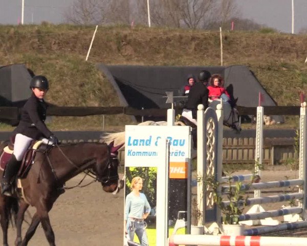 Reitturnier Schülp / Rendsburg 2022