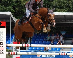 jumper Laurin 130 (Oldenburg, 2007, from Böckmanns Lazio)