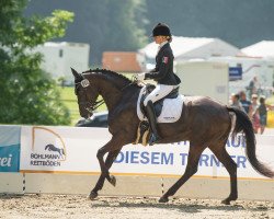 dressage horse Bambola 4 (Oldenburger, 2008, from Rouletto)