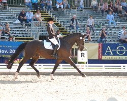 dressage horse Happy Texas Moonlight (Oldenburg, 2007, from Happy Diamond)