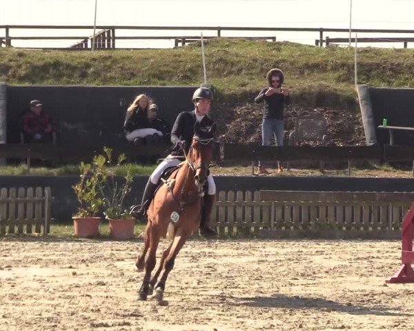 Reitturnier Schülp / Rendsburg 2022