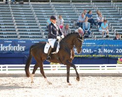 dressage horse For The Memory (Westphalian, 2007, from Florencio I)