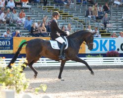 dressage horse Haya 17 (Westphalian, 2007, from Hotline)