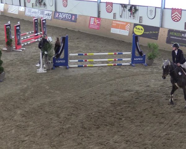 Reitturnier Borgholzhausen-Westbarthausen 2022