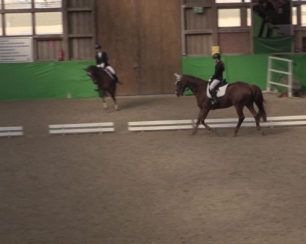 Reitturnier Krumke 2022