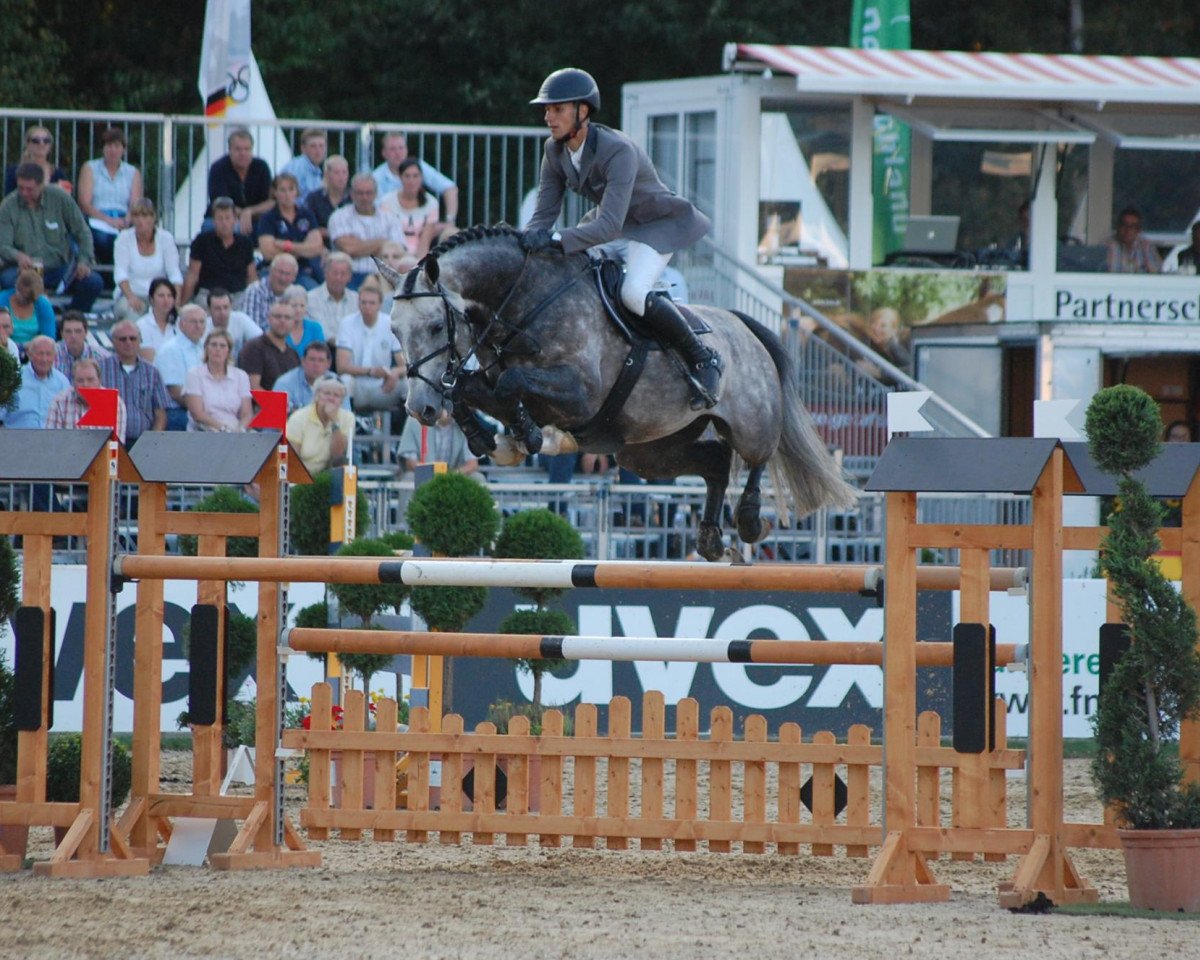 Springpferd DSP Colfosco (Deutsches Sportpferd, 2008, von Check In 2)