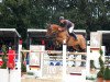 jumper Co Pilot 6 (Oldenburg show jumper, 2006, from Berlin)