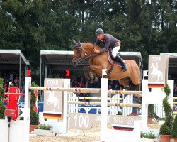 jumper Co Pilot 6 (Oldenburg show jumper, 2006, from Berlin)