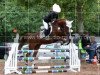 jumper Flic-Flac de la Noble Haie (Belgian Warmblood, 2005, from Shogun II)