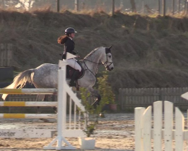 Reitturnier Schülp / Rendsburg 2022