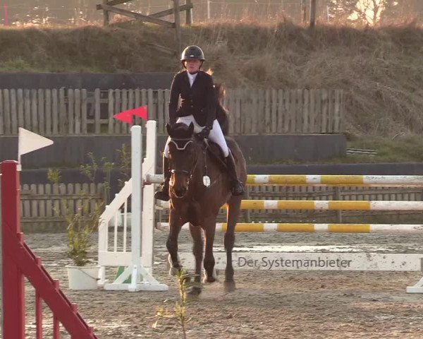 Reitturnier Schülp / Rendsburg 2022