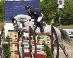 jumper Cornet 41 (Oldenburg show jumper, 2008, from Cellestial)