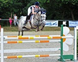 broodmare Quidditch 21 (Holsteiner, 2005, from Quebec)