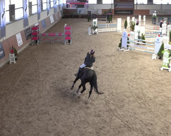 Reitturnier Grevenbroich - Gut Neuhaus 2022