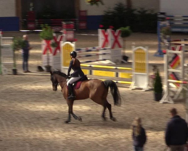 Reitturnier Sögel 2022