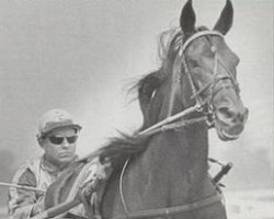 stallion Noble Victory 4888B (US) (American Trotter, 1962, from Victory Song 76207 (US))