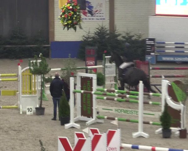 Reitturnier Sögel 2022