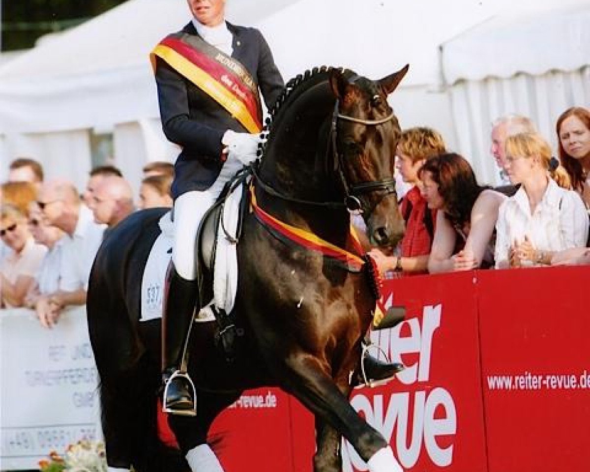 stallion Kaiserdom (Trakehner, 1999, from Van Deyk)