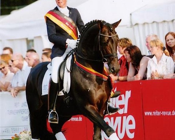 stallion Kaiserdom (Trakehner, 1999, from Van Deyk)