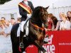 stallion Kaiserdom (Trakehner, 1999, from Van Deyk)
