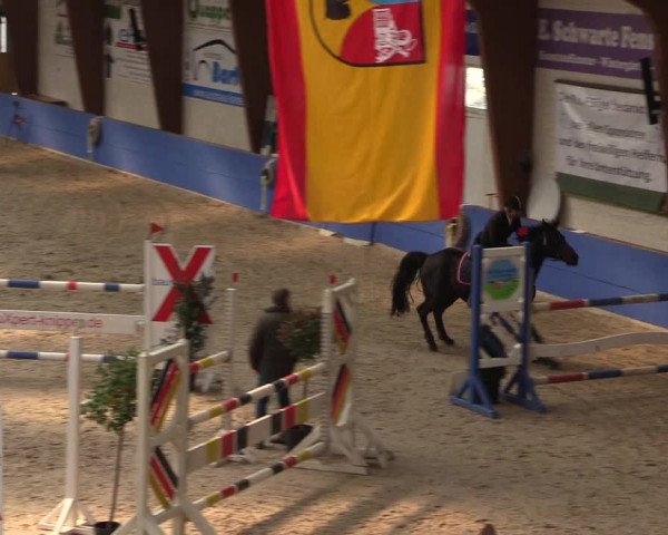 Reitturnier Sögel 2022