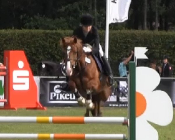 jumper Pascal S.W. (German Riding Pony, 2007, from Principal Boy)