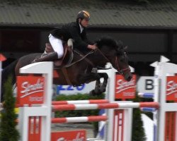 broodmare Chelsea 118 (German Riding Pony, 2007, from Hennes Lux Dressage)