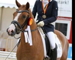 dressage horse Coppery Crack WE (German Riding Pony, 2009, from FS Cracker Jack)