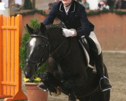 broodmare Fenja (German Riding Pony, 2001, from Neckar)