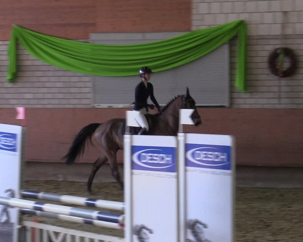 Reitturnier Hellefeld 2022