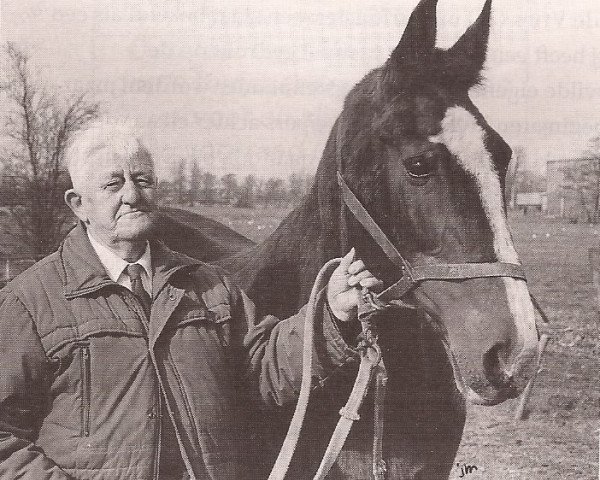 Zuchtstute Elanta (Koninklijk Warmbloed Paardenstamboek Nederland (KWPN), 1969, von Farn)