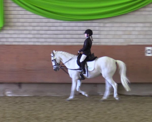 Reitturnier Hellefeld 2022