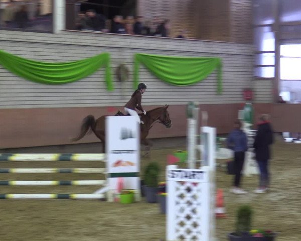 Reitturnier Hellefeld 2022